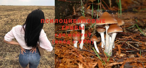 кокс Михайловск