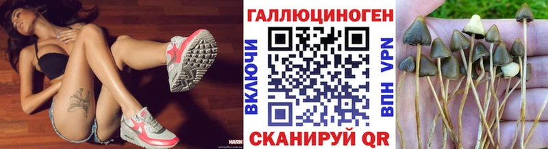 Псилоцибиновые грибы мухоморы  что такое наркотик  kraken ссылки  Темников 
